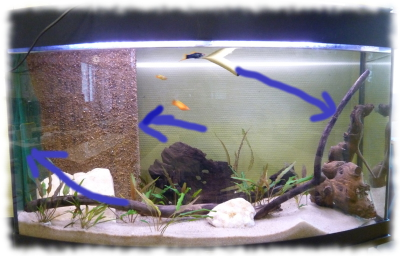 Comment installer un filtre dans un aquarium ?